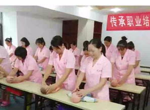 河間月嫂傳承家政服務(wù)公司 專業(yè)守護(hù)，傳承溫暖，打造貼心家政服務(wù)