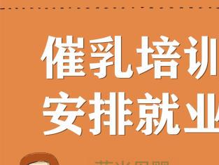 專業(yè)乳房保健與產(chǎn)后康復 成都圖催乳師公司一站式服務解決方案