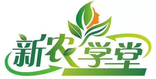 市婦聯2021年新農學堂家政精品課即將開講 賦能巾幗 貼心服務暖萬家